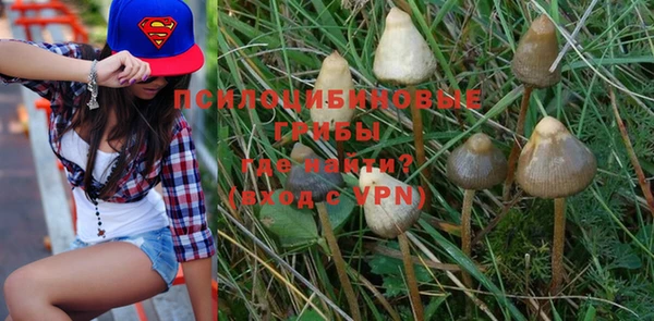 apvp Магадан