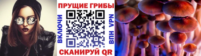 Галлюциногенные грибы мицелий  даркнет состав  Иноземцево 